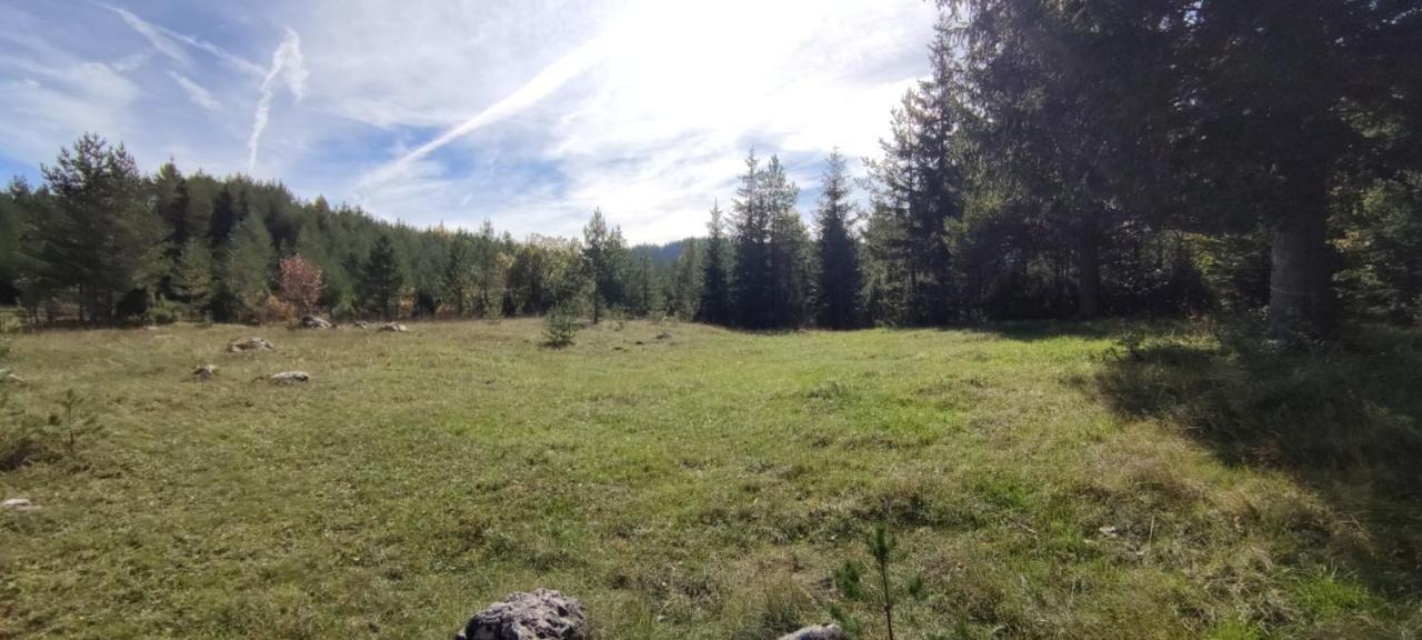 Vukov Konak - Wolf'S Lodge Žabljak Eksteriør bilde