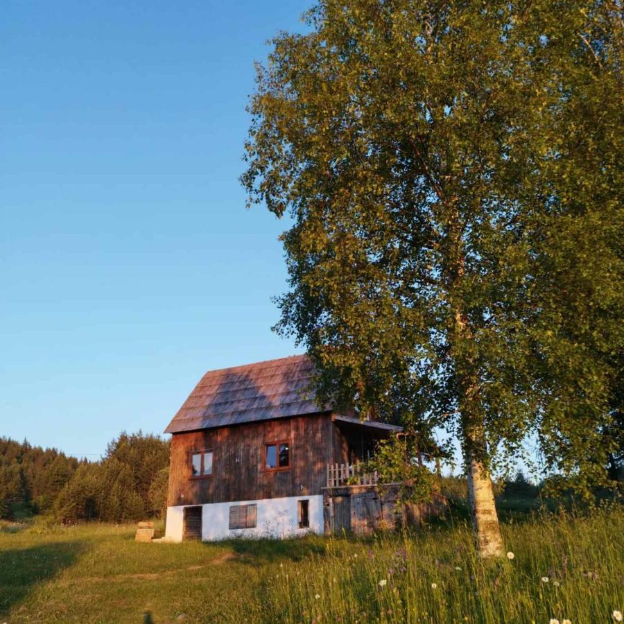 Vukov Konak - Wolf'S Lodge Žabljak Eksteriør bilde