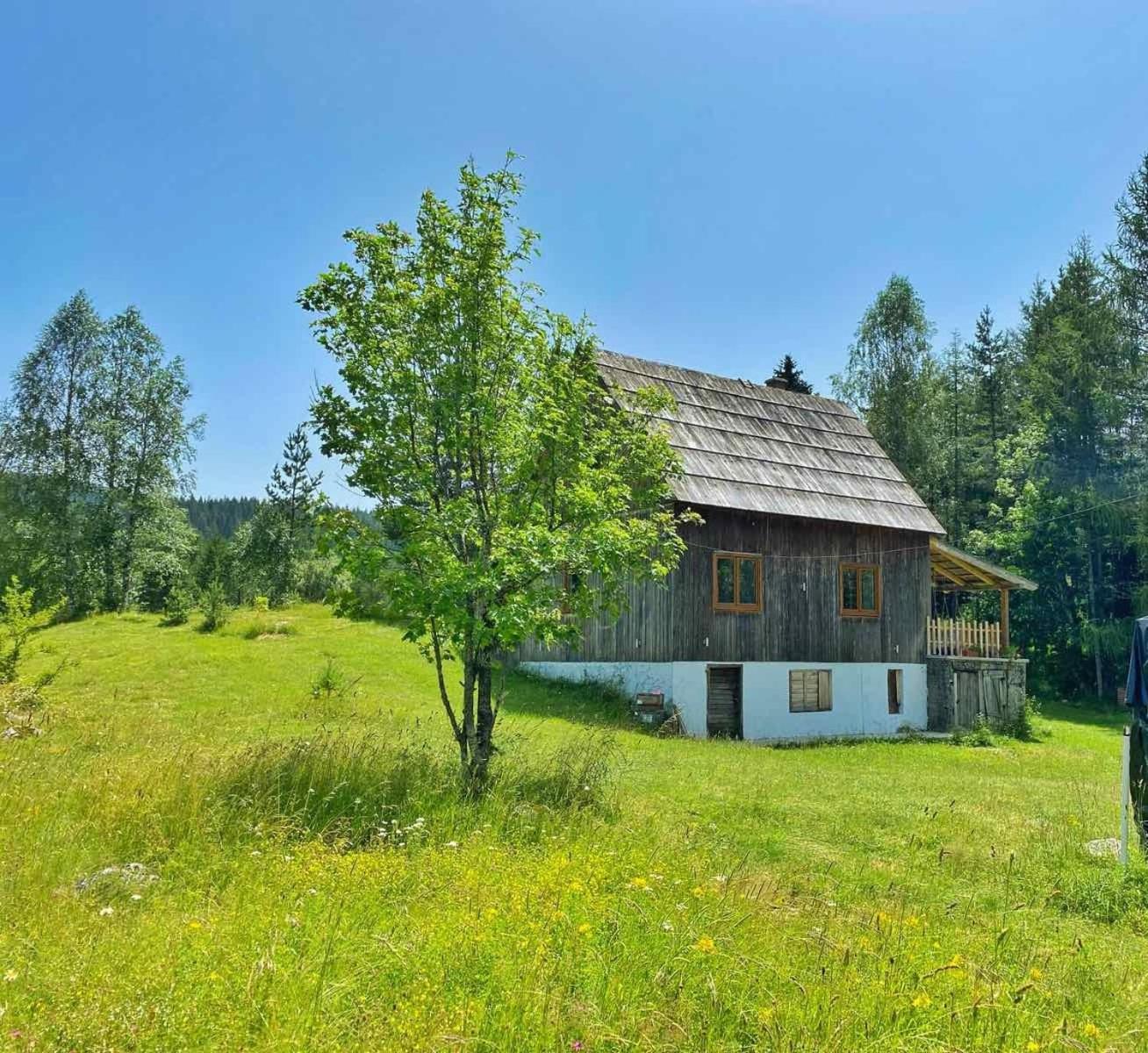 Vukov Konak - Wolf'S Lodge Žabljak Eksteriør bilde