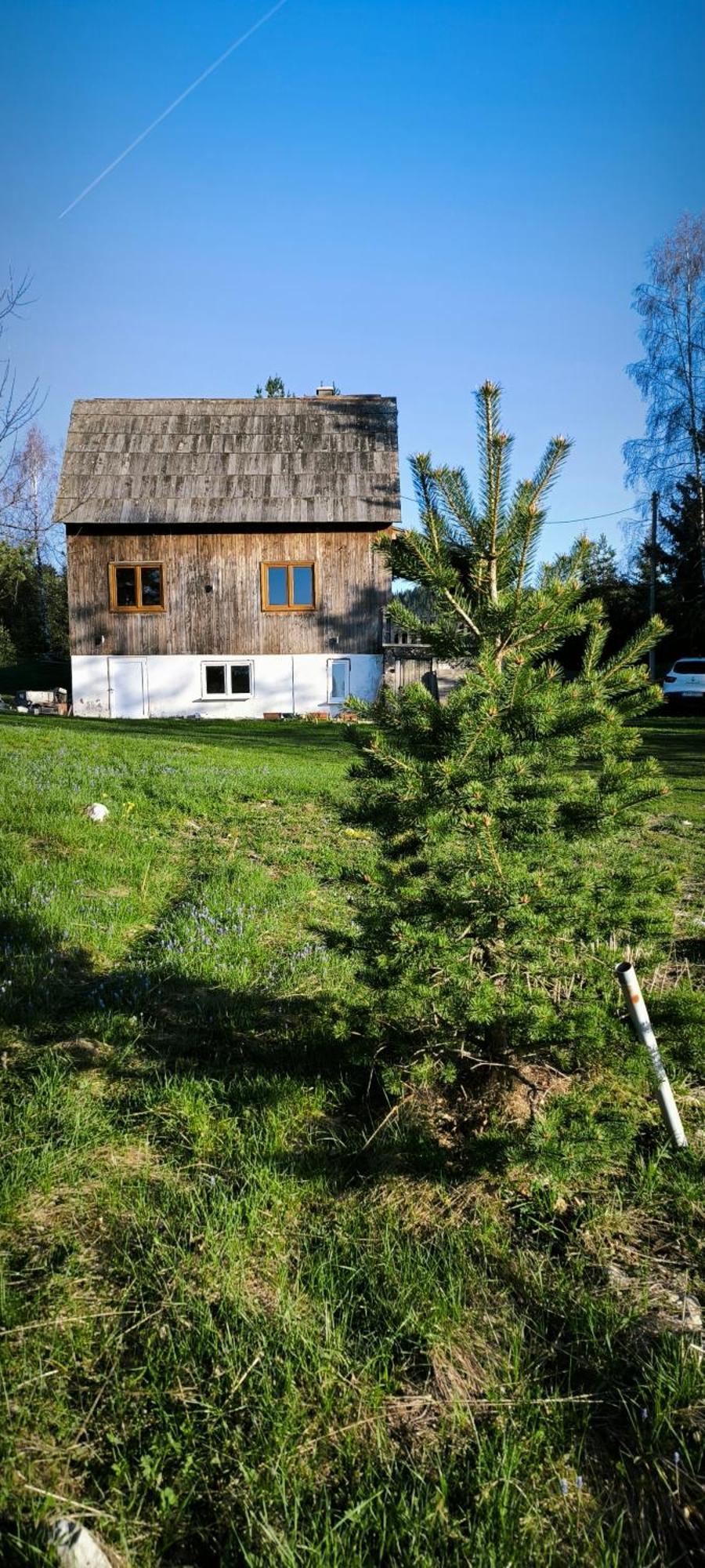 Vukov Konak - Wolf'S Lodge Žabljak Eksteriør bilde